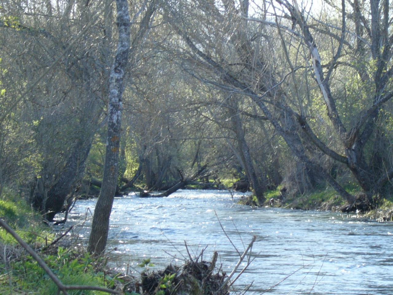 Camping De Cervera De Buitrago 外观 照片